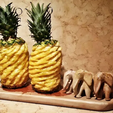 Bed & Breakfast San Giorgio Sovramonte